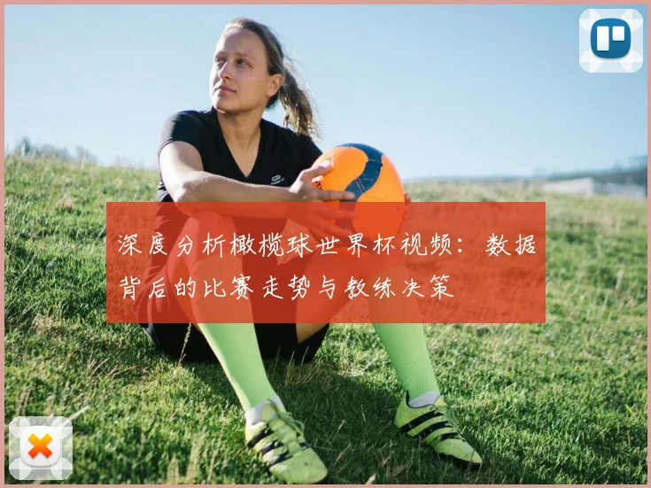 深度分析橄榄球世界杯视频：数据背后的比赛走势与教练决策