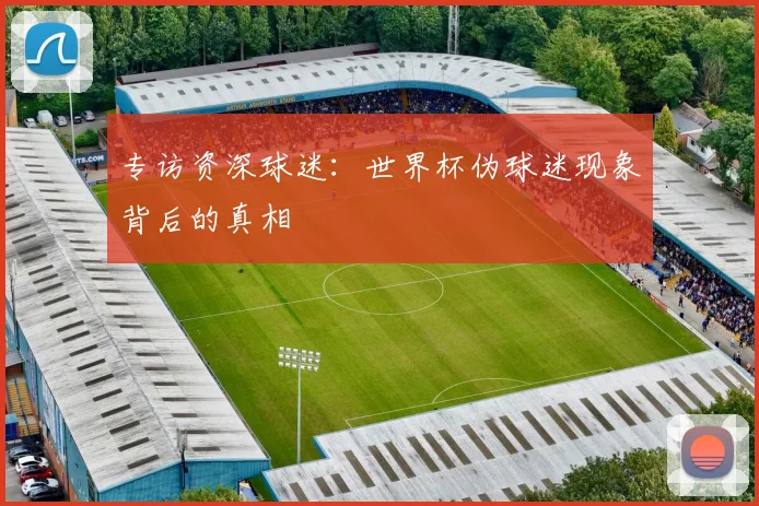 专访资深球迷：世界杯伪球迷现象背后的真相
