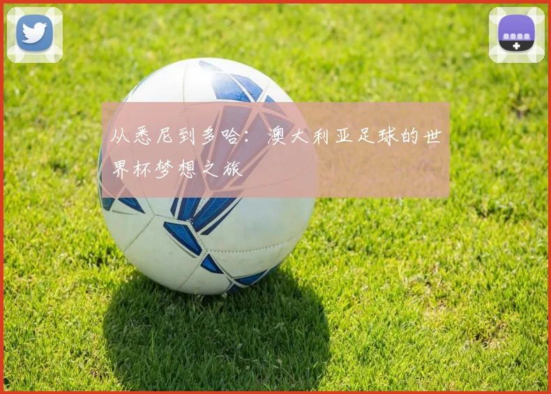 从悉尼到多哈:澳大利亚足球的世界杯梦想之旅