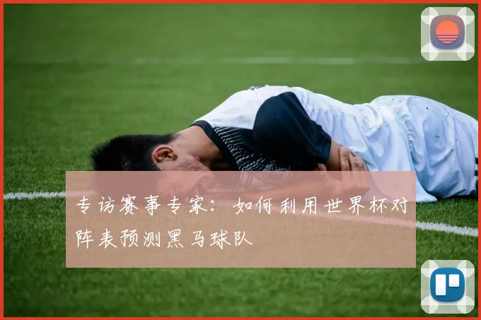 专访赛事专家：如何利用世界杯对阵表预测黑马球队